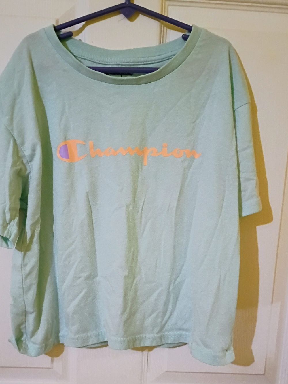 Champion Women's Crop Top Mint Green Short Sleeve